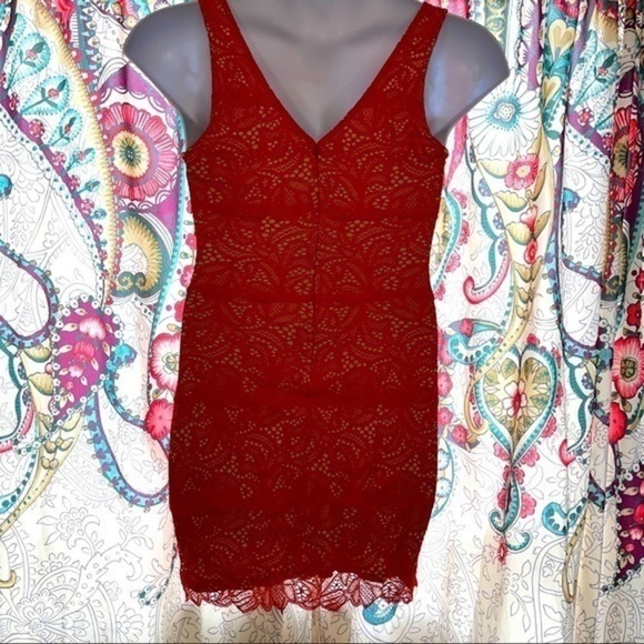 Beautiful BeBe Orange Lace and Nude Dress - Picture 5 of 9
